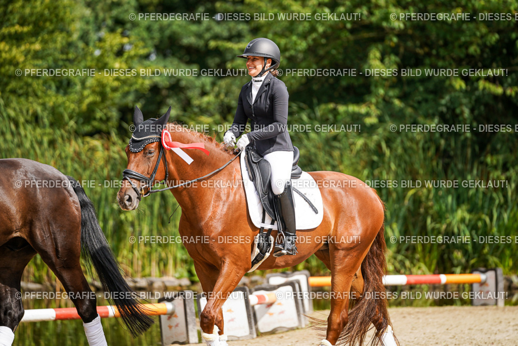 DSC02452 | Pferdegrafie