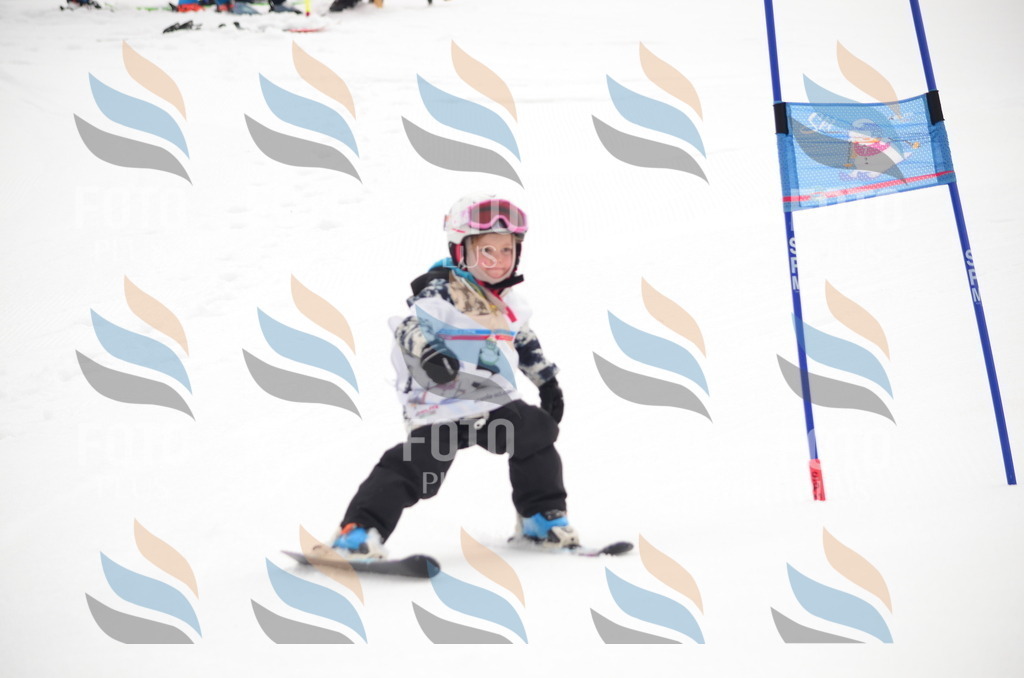 B9135 | holidayphoto