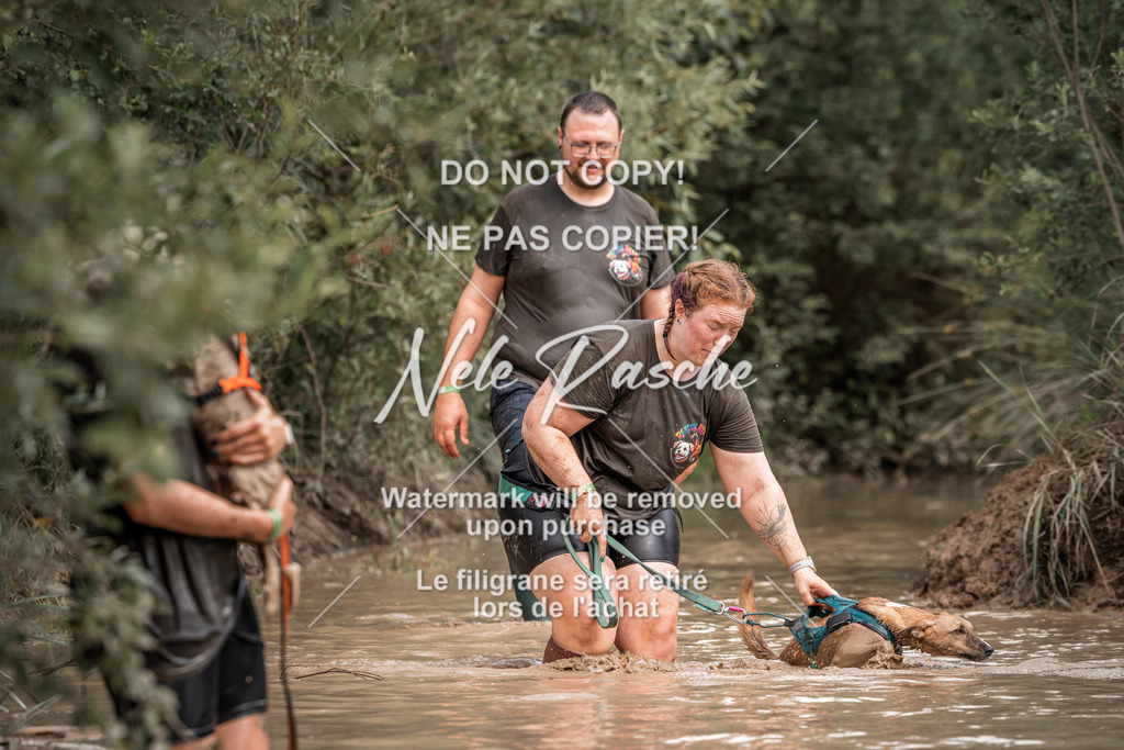 nelerasche_Hoope2026_So1400-1430_153 | nelerasche