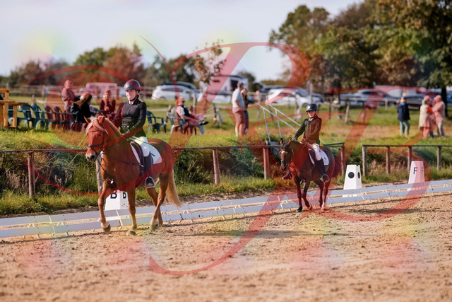 2026_10_03_Siefer-Hof_122307_Z81_22934434 | Professionelle Reitsport-, Turnier- und Eventfotografie von Robert Broda. Galerien mit ausgewählten und bearbeiteten Bildern direkt online ansehen und bestellen.