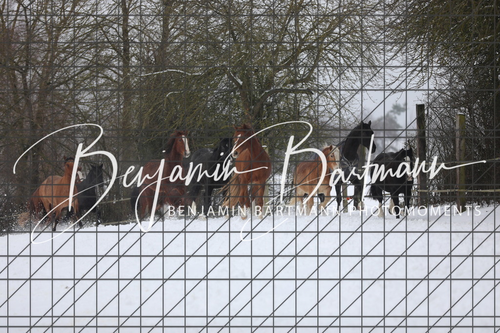 AZ2A3323 | Benjamin Bartmann Photomoments