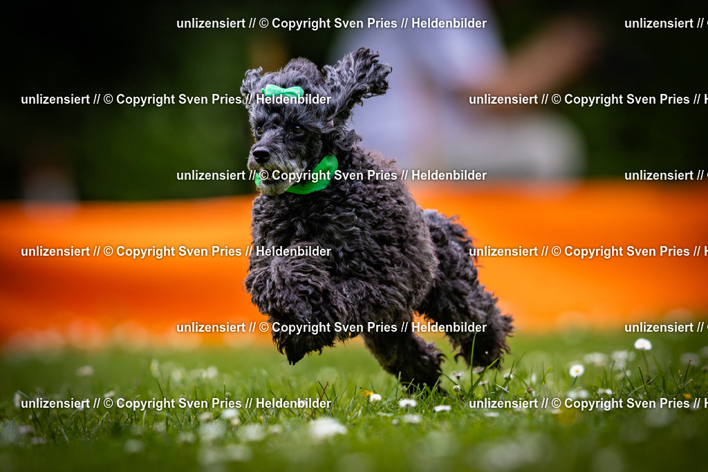 Sven Pries | 2025-05-29 - Pudelrennen KA-Durlach - Realisiert mit Pictrs.com