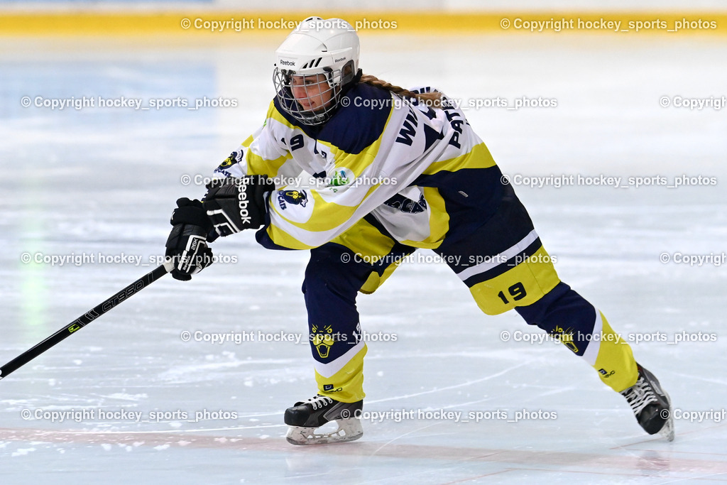 BST_6321 | hockey sports photos, Pressefotos, Sportfotos, hockey247, win 2day icehockeyleague, Handball Austria, Floorball Austria, ÖVV, Kärntner Eishockeyverband, KEHV, KFV, Kärntner Fussballverband, Österreichischer Volleyballverband, Alps Hockey League, ÖFB, 