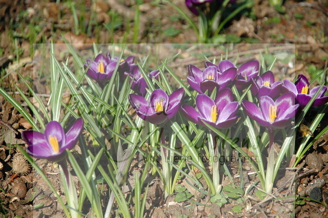 DSC_0074 | fotografie-jill-carstens