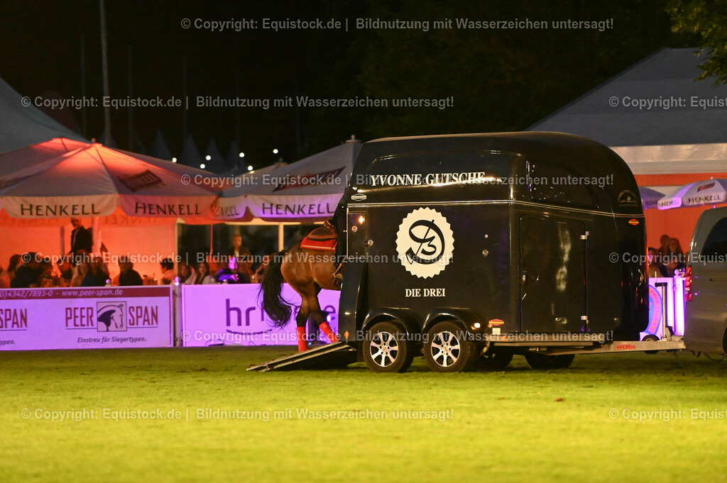 20230526_Pferdenacht_1113 | equistock