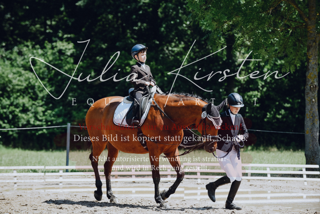 DSC_2150 | Pferde- und Turnierfotografie in Westsachsen. Pferdeportraits, Auftragszeichnungen und intuitive Kunst.