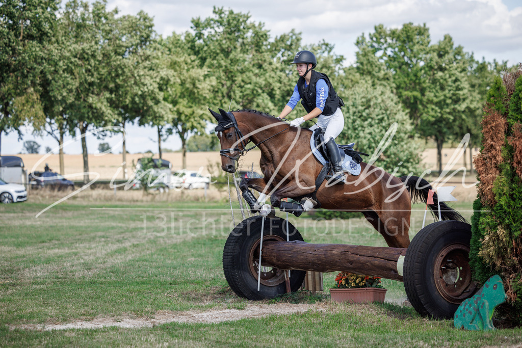 20260905-_3LI9656 | Tierfotografie Pferde, Hunde, Katzen, Haustiere.
Turnierfotografie Reitturniere, Reiten, Springreiten, Dressur in Hanau, dem Main-Kinzig-Kreis und dem Rhein-Main- Gebiet um Frankfurt