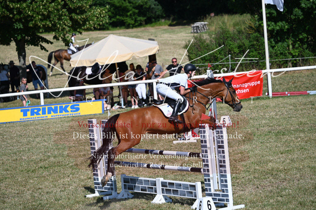 DSC_1926 | Pferde- und Turnierfotografie in Westsachsen. Pferdeportraits, Auftragszeichnungen und intuitive Kunst.