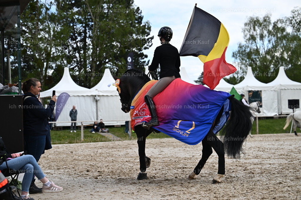 PI26_GesamtSEhrung_Sara_Landvogt_226_6293.JPG | working equitationturnier fotograf videograf stoibphotography marixx film working equitation deutschland reitsport turnierfotografie eventfotografie equestrian events