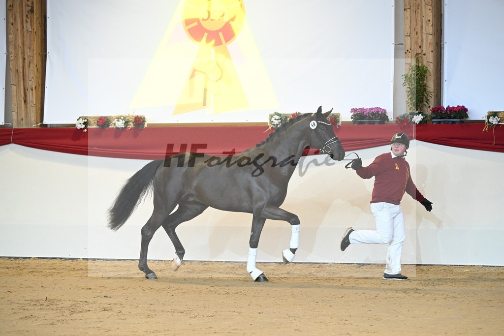 Kat-Nr. 49 Falihandro_Wilbers_1231322 | hf-fotografie - Realisiert mit Pictrs.com