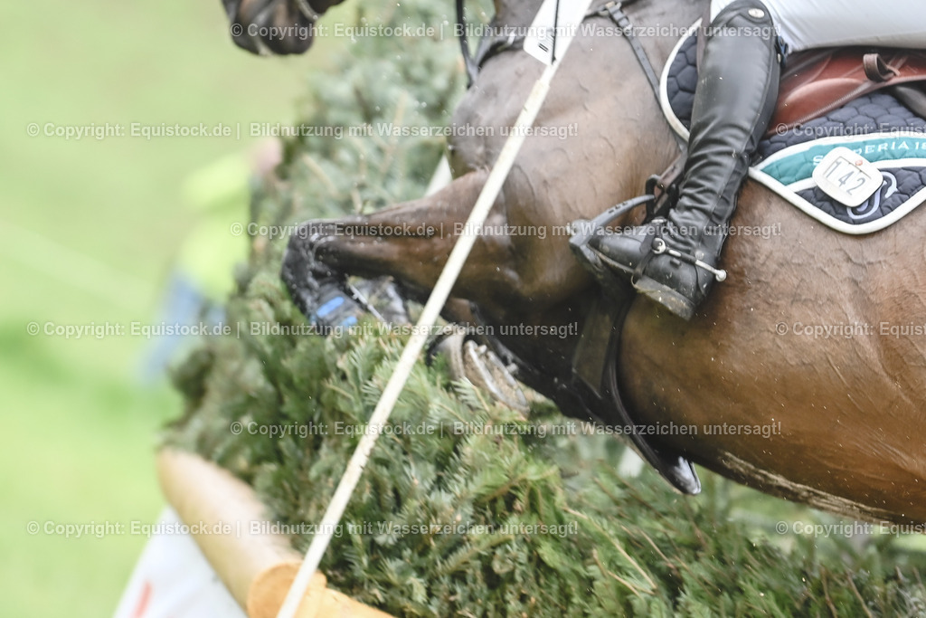 20230513_CCI4_Gelände_0577 | equistock
