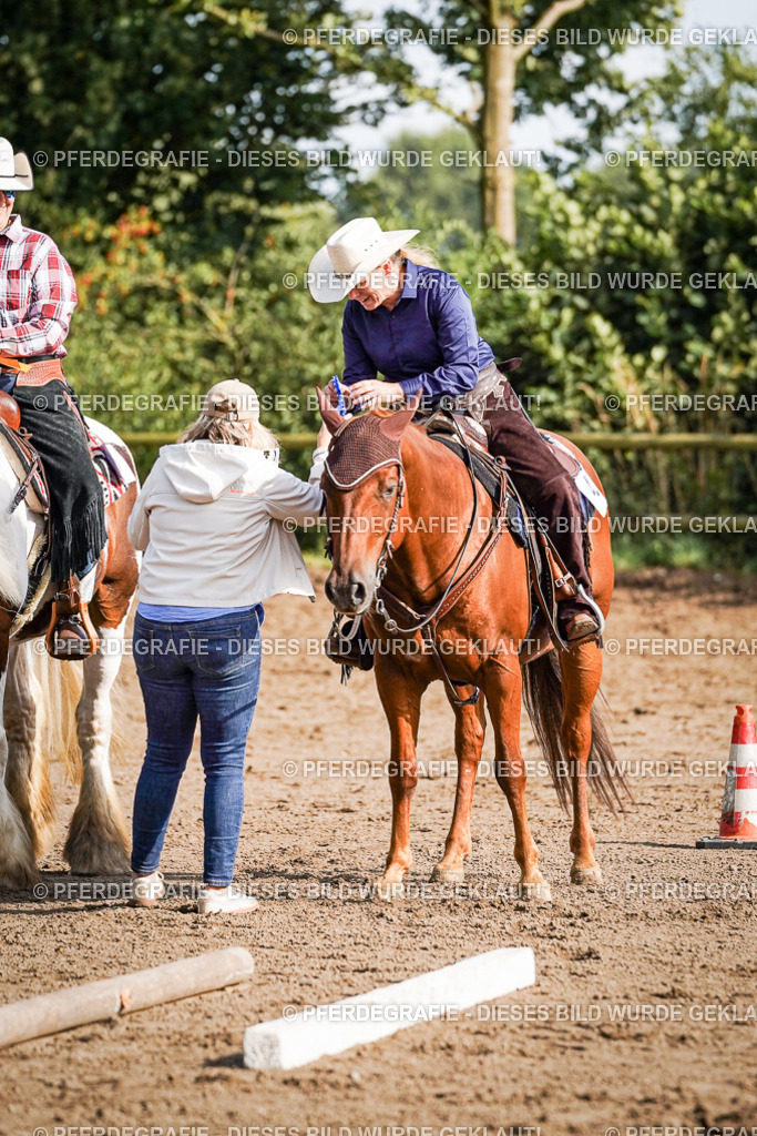 DSC00374 | Pferdegrafie