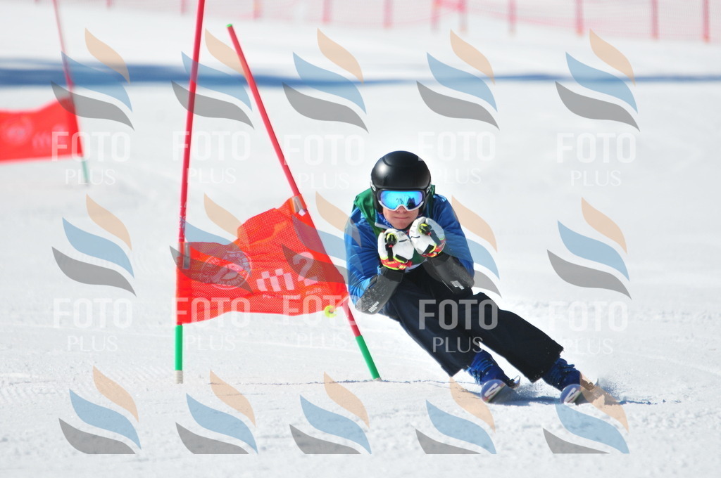 C3471 | holidayphoto