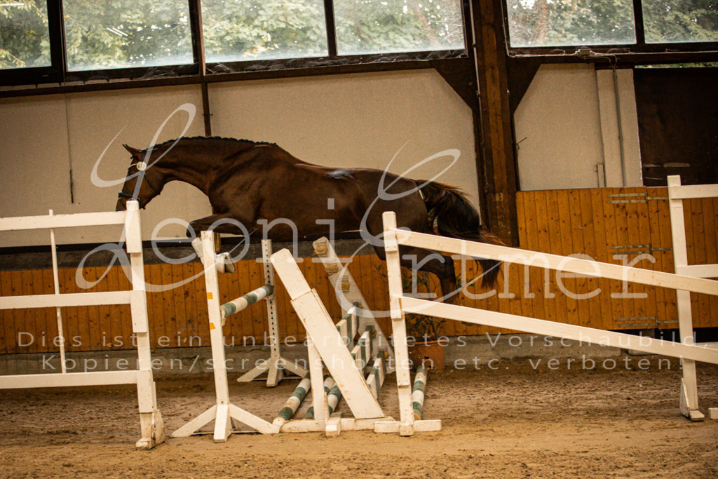 2FS_L00069 | Leoni Ertmer Photography - Realisiert mit Pictrs.com