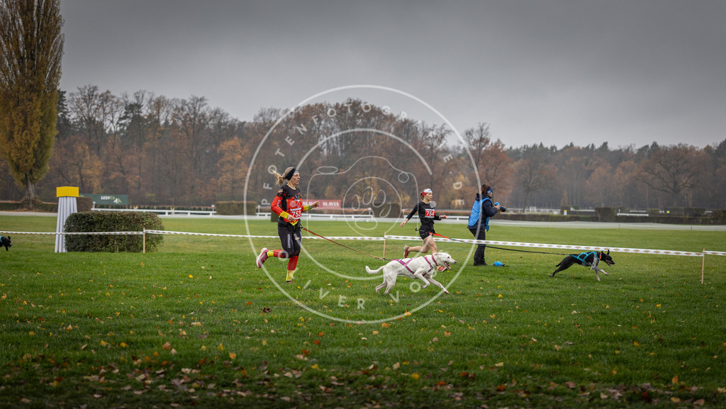 CaniXpix_DV3A8883 | Hundefotografie, Tierfotograf, Pfotenfotografie, Fotoshooting Hund, Hunde Portrait, Hundesport, Hundeportraits, Heideshooting, Hunde, Sportfotograf, Hundefotograf, Turnierhundsport, THS,  - Realisiert mit Pictrs.com