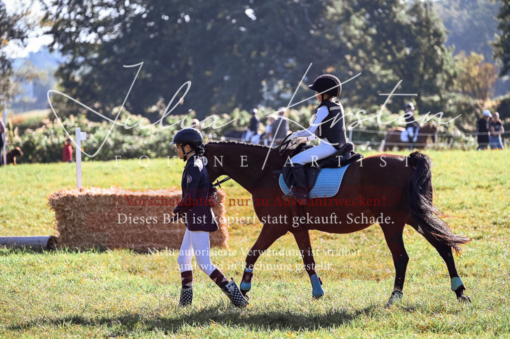 DSC_0258 | Pferde- und Turnierfotografie in Westsachsen. Pferdeportraits, Auftragszeichnungen und intuitive Kunst.