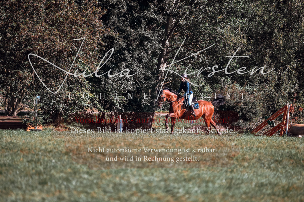 DSC_0568 | Pferde- und Turnierfotografie in Westsachsen. Pferdeportraits, Auftragszeichnungen und intuitive Kunst.