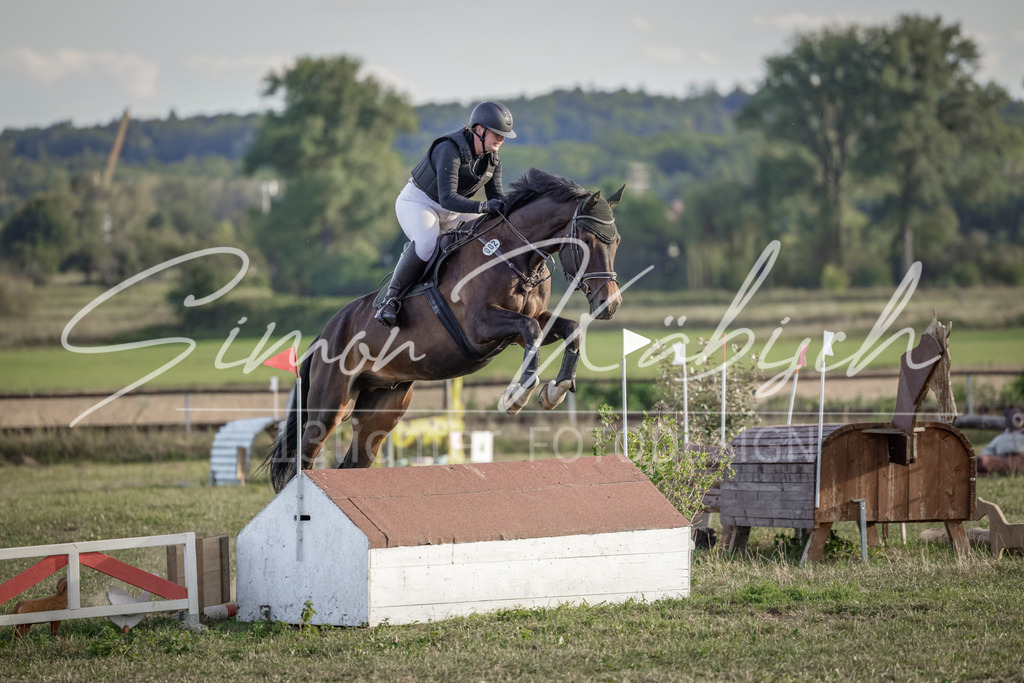 20250906-_3LI7842 | Tierfotografie Pferde, Hunde, Katzen, Haustiere.
Turnierfotografie Reitturniere, Reiten, Springreiten, Dressur in Hanau, dem Main-Kinzig-Kreis und dem Rhein-Main- Gebiet um Frankfurt