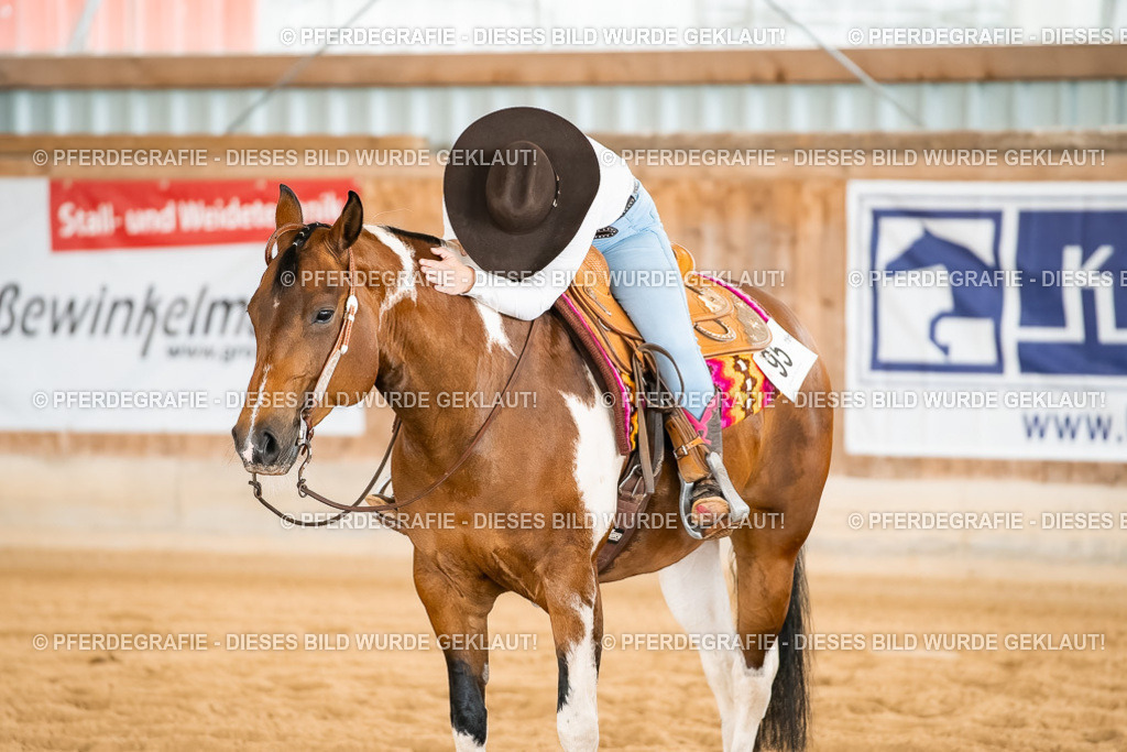 DSC02512 | Pferdegrafie