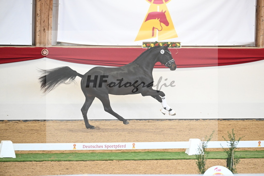 Kat.-Nr. 79 v. Taurus_Beckmann_2250356 | hf-fotografie - Realisiert mit Pictrs.com