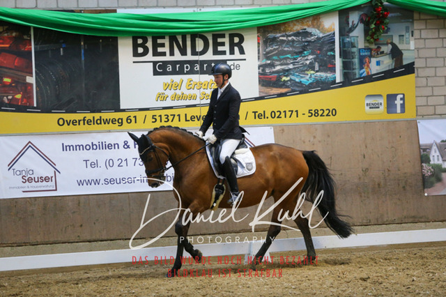IMG_2758 | Turnierfotos kaufen im Webshop von Daniel Kuhl Photography – entdecke professionelle Reitsportfotos aus Turnieren & Events. Hochwertige Turnierbilder online bestellen & sichern. Jetzt Fotos von Reitsportturnieren kaufen!