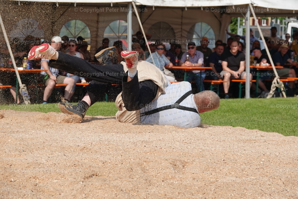 DSC04411 | Schwingen - Realisiert mit Pictrs.com