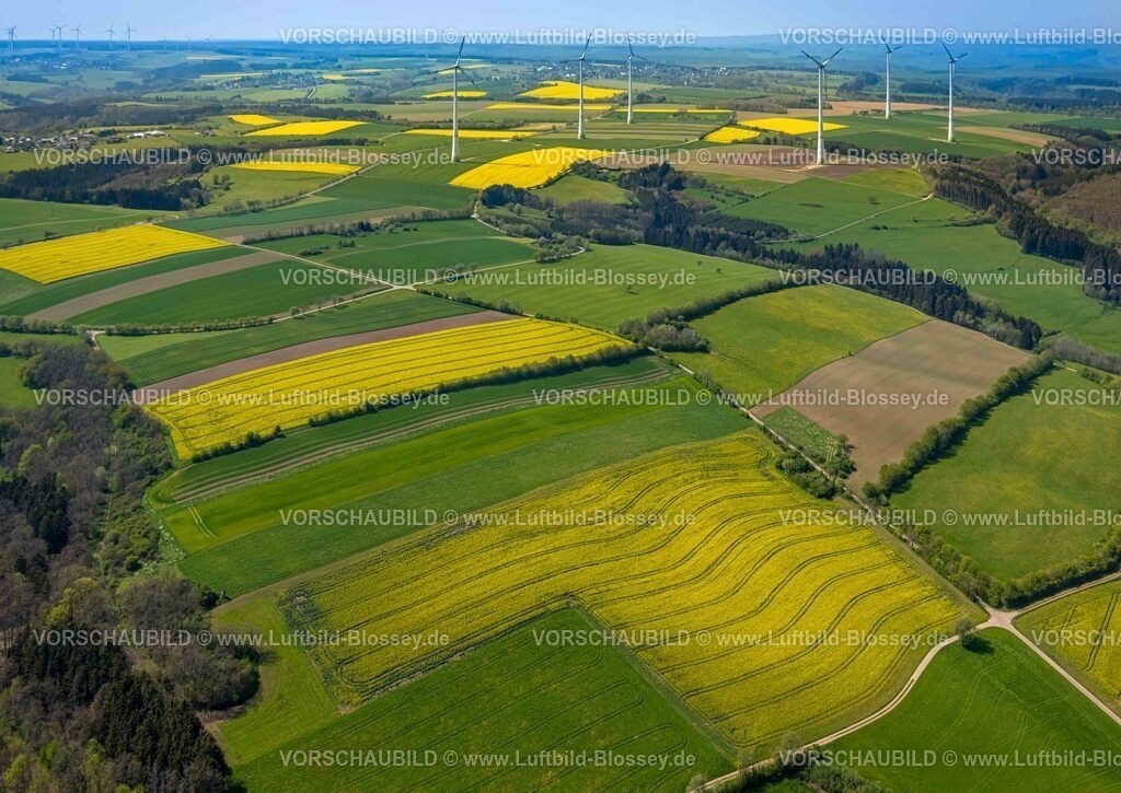 Schleiden240502148DreibornerHochfläche | Luftbild, Waldgebiet und Dreiborner Hochfläche Naturschutzgebiet NSG zwischen Scheuren und Dreiborn, kachelförmige Wiesen und Felder und Bürgerwindpark Schleiden, Formen und Farben, Fernsicht, Nationalpark Eifel, Scheuren, Schleiden, Nordrhein-Westfalen, Deutschland