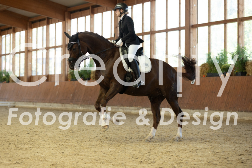 IMG_9207 | Creatify Fotografie