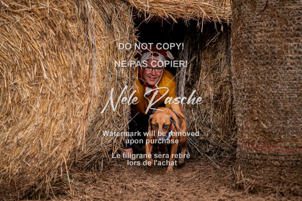 nelerasche_Hunsrück_So09-11_383 | nelerasche