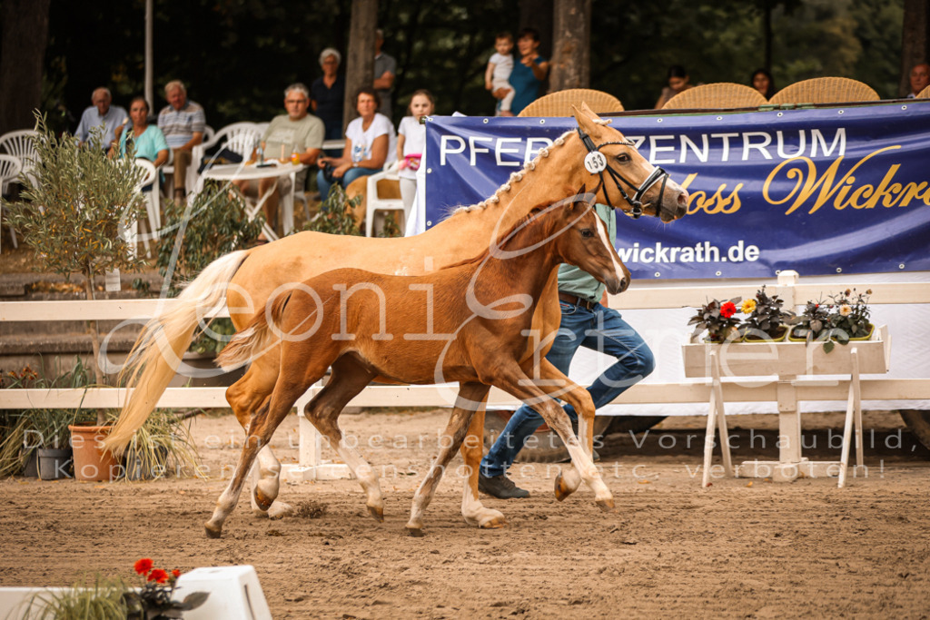 07.So00049 | Leoni Ertmer Photography - Realisiert mit Pictrs.com