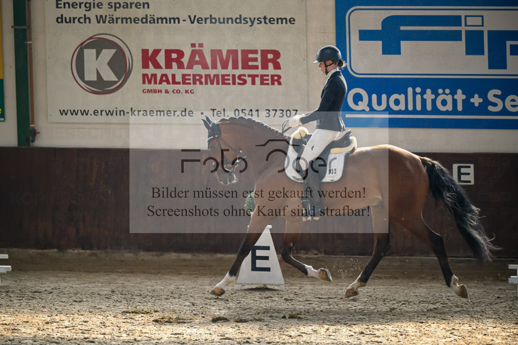 Reitturnier Voxtrup | Entdecke hochwertige Reitturnierfotos von Foto Oger. Professionell, emotional und authentisch – jetzt Lieblingsmomente im Shop bestellen.Deutschlandweite Turnierfotografie. - Realisiert mit Pictrs.com