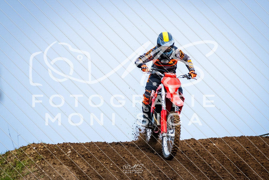20260321-162A1113 | moni.sica.fotografie - Realisiert mit Pictrs.com