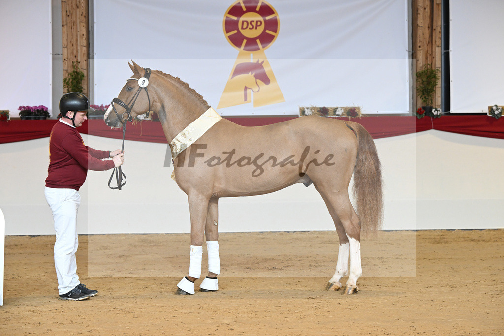 Kat-Nr. 9 Cicero Z_Zurich_1231747 | hf-fotografie - Realisiert mit Pictrs.com