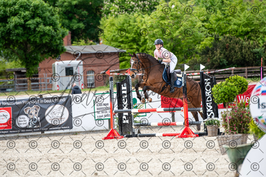 KPT_7206 | andre_photographic