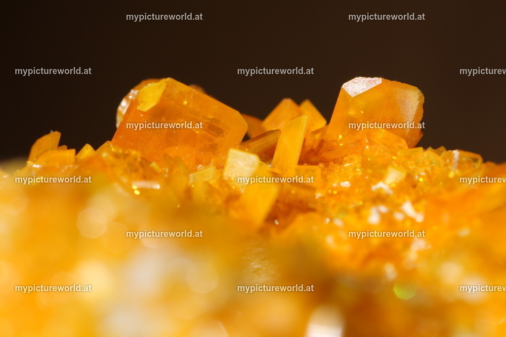 Wulfenit-005 | Das Bilderarchiv über Tiere, Planzen und Landschaften. In der Bilddatenbank finden Sie ein große Auswahl an hochwertigen Bilder für Ihre Werbung - Realisiert mit Pictrs.com