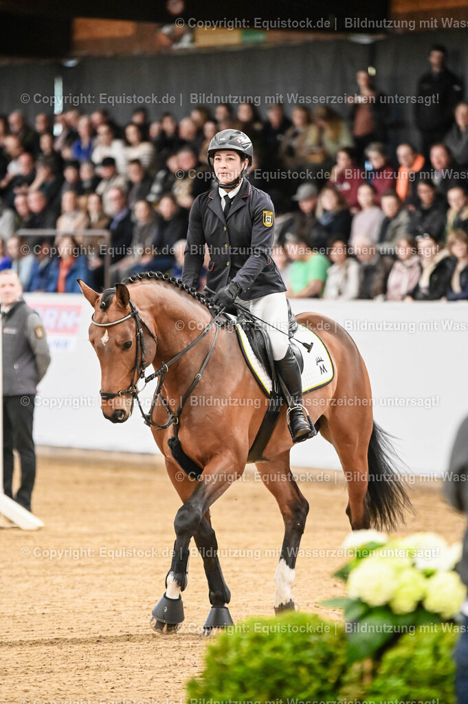 20260307_Hengstvorstellung-Marbach_0011 | equistock