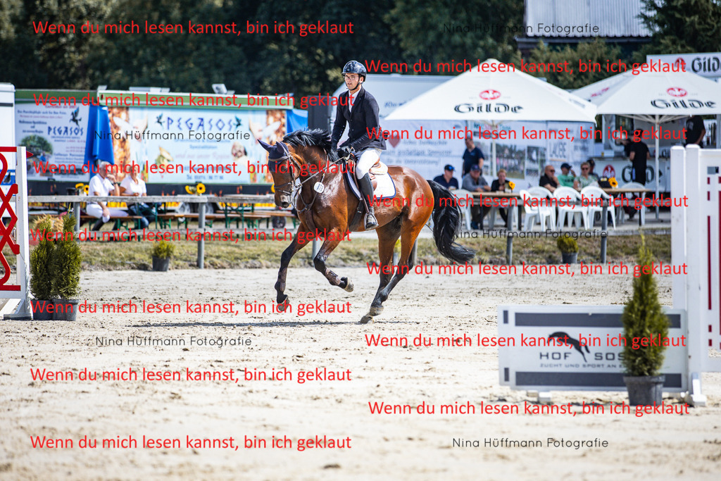 BK1A5164 | Turnierbilder Turnierfotos Nina Hüffmann Turnierfotografie Pferdefotografie Tierzeichnung Haustierzeichnung Pferdezeichnung Hundezeichnung Videograf  - Realisiert mit Pictrs.com