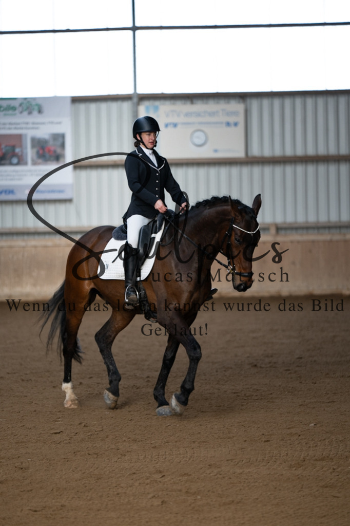 A7V05220 | Pferdefotograf