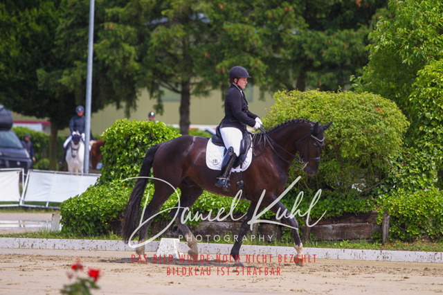 DKP40576 | Turniersportfotografie; Pferdefotografie; Dressurfotografie