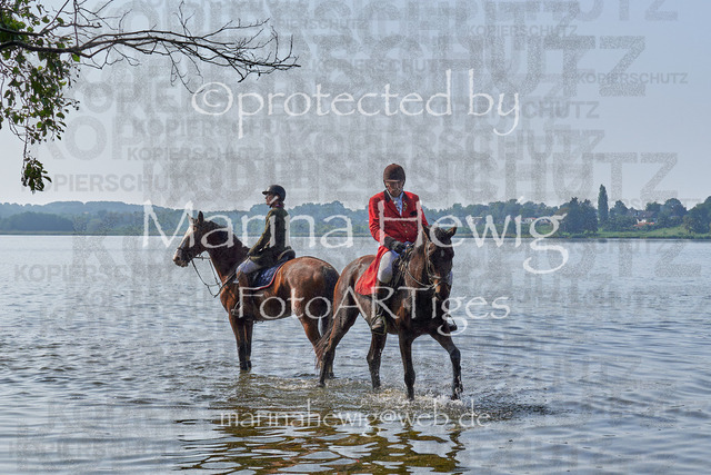 09-23 JAgd PerdölDSC02214_Marina Hewig | Fotografie, FotoArt, PferdesportArt, Pferdesportfotografie, Landschaftsfotografie, Reisefotografie, Reise, Pferde - Realisiert mit Pictrs.com
