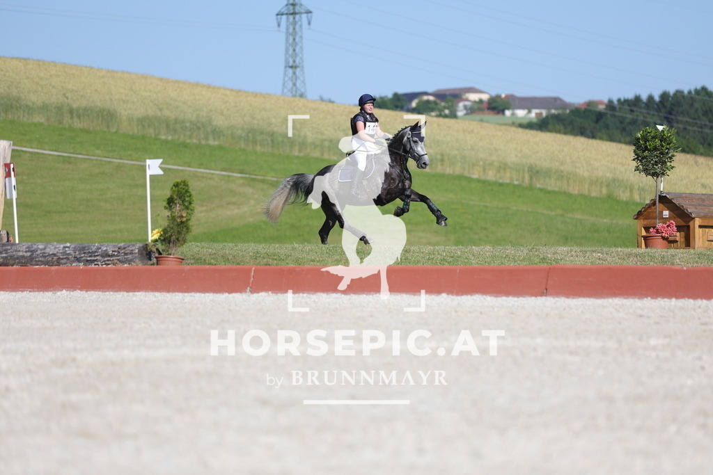 0P6A6793 | Willkommen bei Brunnmayr - Design & Fotografie – Ihrem Spezialisten für Reitturniere und Pferdeveranstaltungen in Oberösterreich, Salzburg und Bayern! Seit über 17 Jahren sind wir leidenschaftlich dabei.