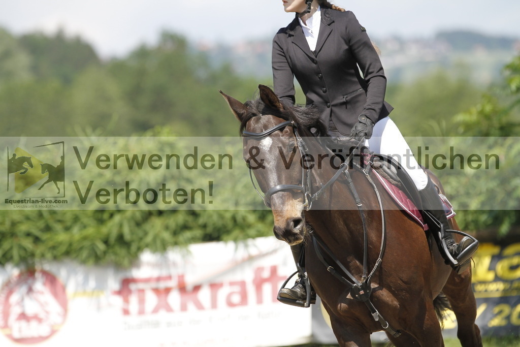 _MG_0726 | equestrian-live-com