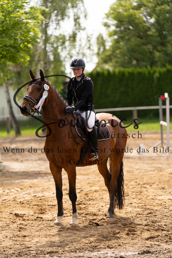A7507452 | Turnier/Reitfotograf
