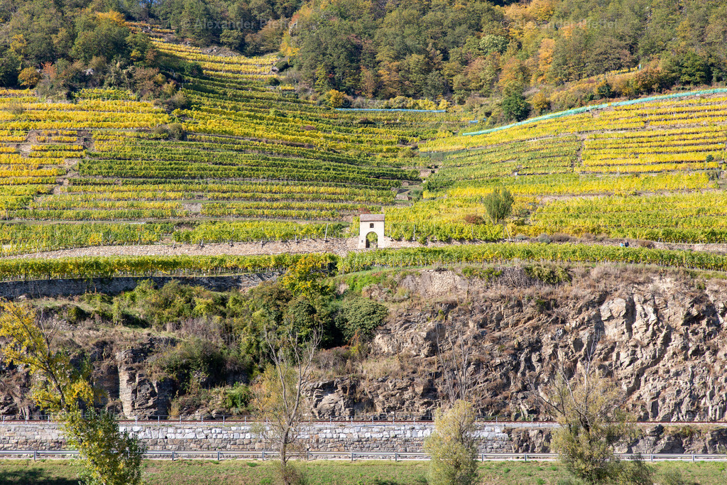 donau-wachau_c_alexander_pfeffel-20567 | alexander-pfeffel - Realisiert mit Pictrs.com