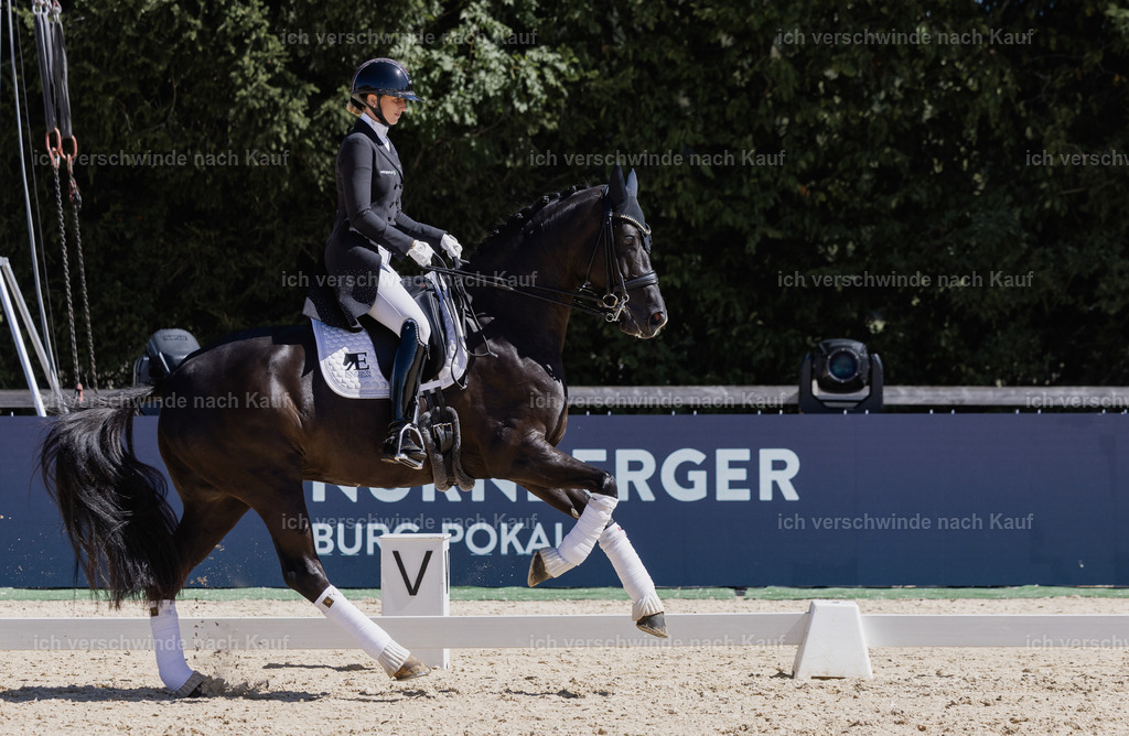 FHC2026_P12_Siegerehrung_19613 | working equitationturnier fotograf videograf stoibphotography marixx film working equitation deutschland reitsport turnierfotografie eventfotografie equestrian events