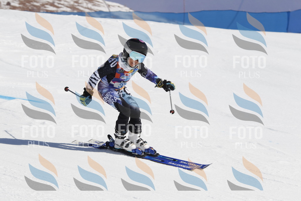 _U3G9178 | holidayphoto