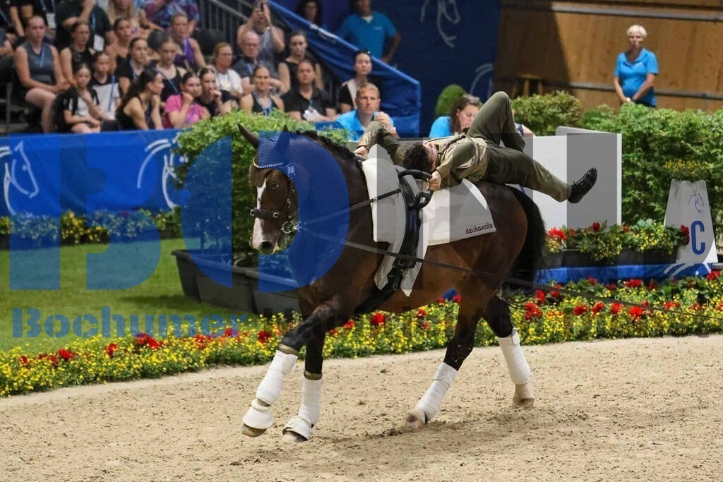 28.06.2025 | 28.06.2025 - Realisiert mit Pictrs.com