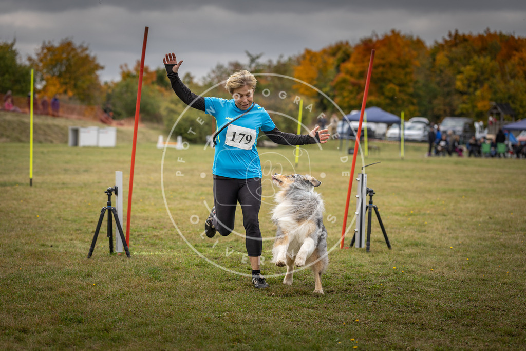 Pfotenfotografie_DV3A5788 | Hundefotografie, Tierfotograf, Pfotenfotografie, Fotoshooting Hund, Hunde Portrait, Hundesport, Hundeportraits, Heideshooting, Hunde, Sportfotograf, Hundefotograf, Turnierhundsport, THS,  - Realisiert mit Pictrs.com