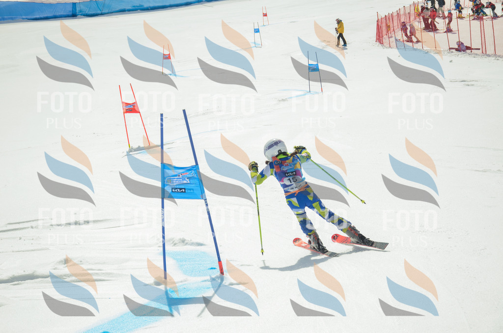 _ELE4658 | holidayphoto