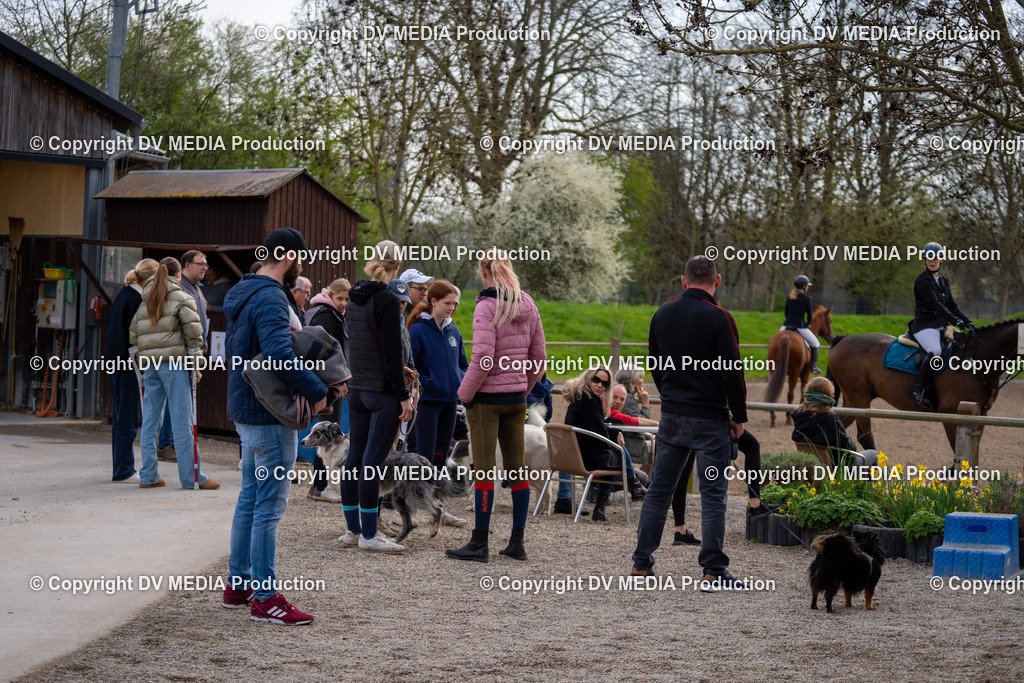 Springen Tag 3-450 | dv-media-shop - Realisiert mit Pictrs.com